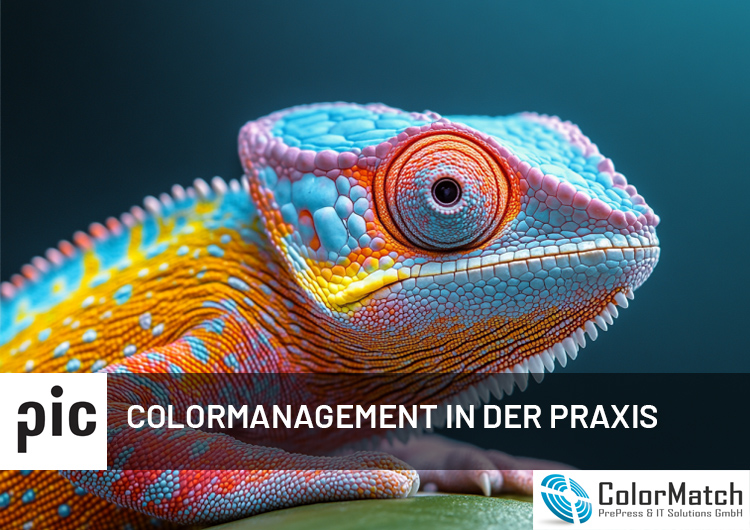 PIC-Webinar "Colormanagement in der Praxis" von ColorMatch