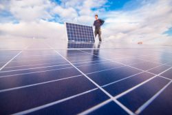 Jennifer Wolf Fotograf Jennifer Wolf