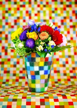 Jürgen Novotny fotograf juergen novotny